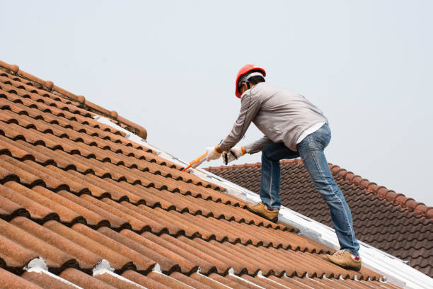 Best Emergency Roof Repair Services  in Danville, VA