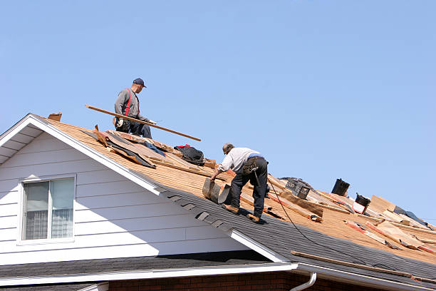 Best Metal Roofing Installation  in Danville, VA